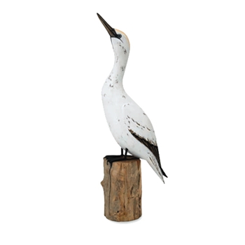 Gannet Up 25in Limited Stock