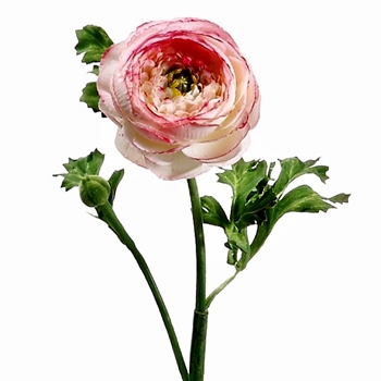 Ranunculus - Petal Pink 13in - HSR600-PK/CR