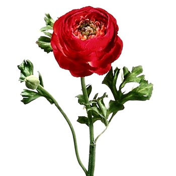 Ranunculus - 13in Red HSR600-RE
