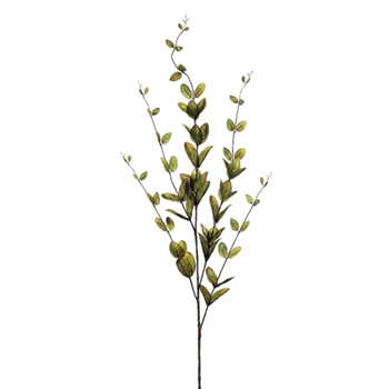 Lonicera - Leaf Branch Olive Green 46in - GTL630-GR