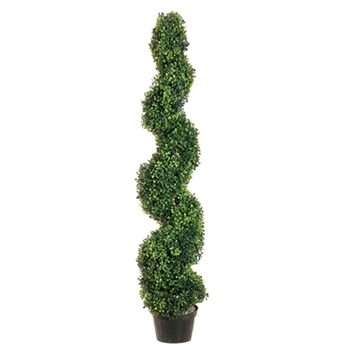 Boxwood - Spiral Topiary 4ft - LPB714-GR