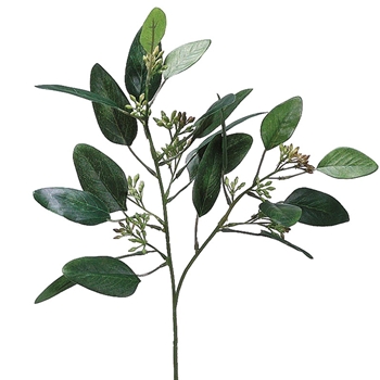 Eucalyptus - W/Seed DK Green 18in - FSE646-GR/BU