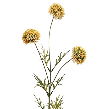 Allium - Yellow Pom 29in - FSA453-YE/GR
