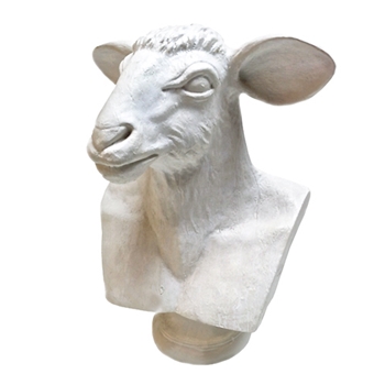 Bust Ramsey Sheep 16W/22H 