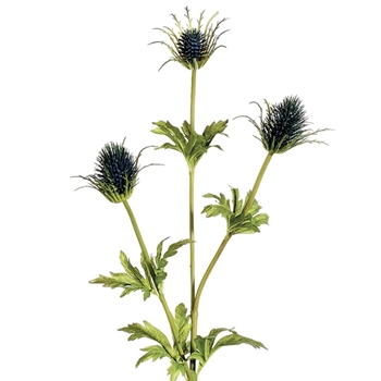 Thistle - Verde Blue 32in - HST515-HE