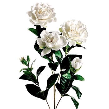 Gardenia - White 27in - GTG990-WH