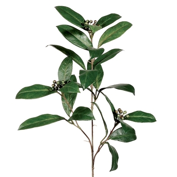 Laurel Leaf - Seeded Green 27in - QSL080-GR