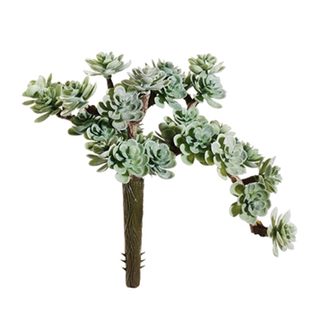 Succulent - Sedum Cascade Verde 5IN - CM4504-GR/DU