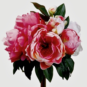 Peony - Pink / Fuchsia Bouquet 11in - FBQ319-PK/CR