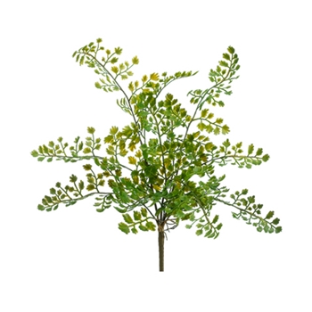 Fern - Lace Plant Green/ Kiwi 15in - PBF577-GR