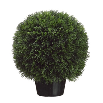 Cedar Ball Topiary 20in