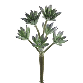 Succulent - Sedum Spray Verde 11in - CC2490-GR/FS