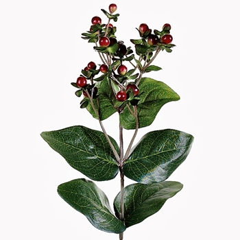 Berry - Hypercicum Green W Red 27in - FSB501-BU/TT