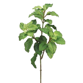 Mint - Leaf Pick Green 10in - PBM419-GR