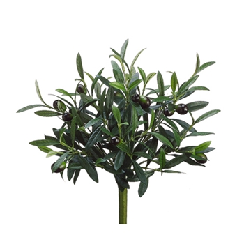 Olive - Pick Bush With Fruit 14in - PBO341-GR