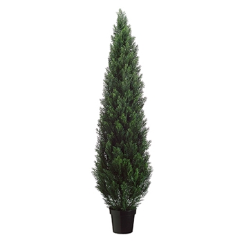 Cedar - Topiary Cone Green 6ft - LPC046-GR