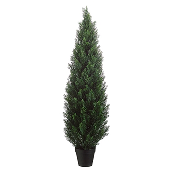 Cedar - Topiary Cone Green 5ft - LPC045-GR