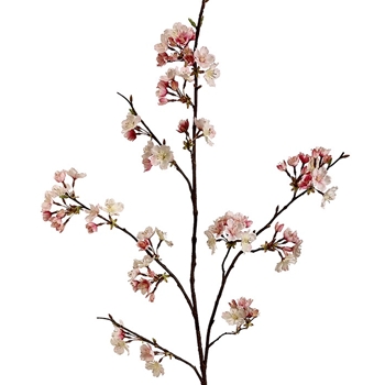Blossom - Cherry Pink Cream 42in - FSB303-PK/CR