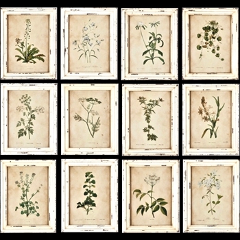 11W/14H Framed Print - Wild Flowers