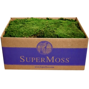 Moss Preserved - Sheet 5LB Full Box 1,560 Cubic Inches