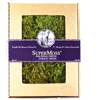 Moss - Preserved Forest BOX 8OZ