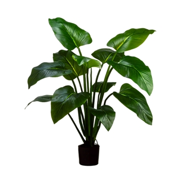 Curcuma Plant - Green 48IN - LTC114-GR