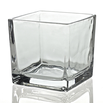 Vase - Glass Cube Clear 5X5in