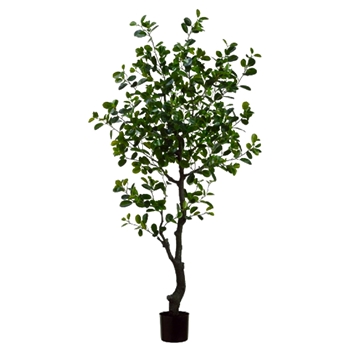 Ficus Tree - Eva 72in Plastic Pot - LTF316-GR