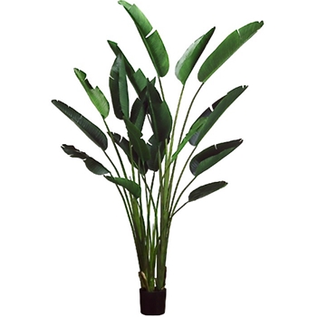 Palm - Paradise Tree 93in Green 18 Leaves - LTB608-GR