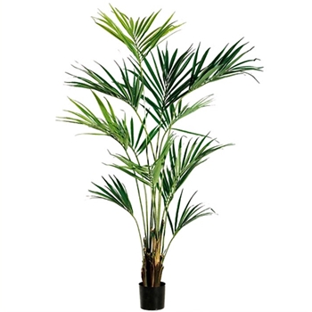 Palm - Kentia Tree Green Lt 93in  - LTP207-GR/LT