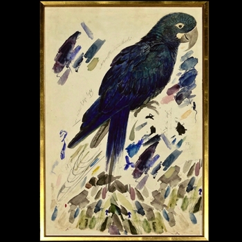 25W/37H Framed Print Lear Barnard's Blue Parrot