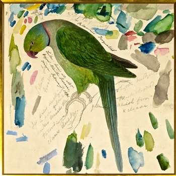 21W/21H Framed Print Lear Green Parrot