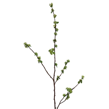 Blossom - Budding Green 40in - FSB014-GR