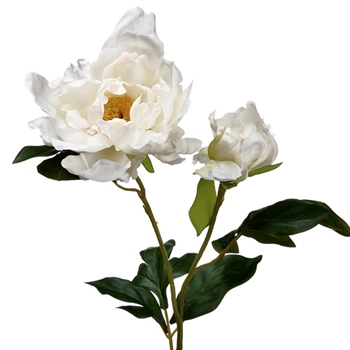 Peony - White 1 Bloom/1bud 20in - FSP661-WH