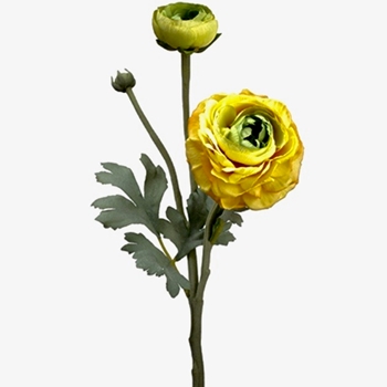 Ranunculus - Yellow 15in - FSR282-YE/GR