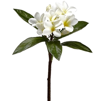 Plumeria - Bloom Cream/White 22in - FSP383-CR/YE