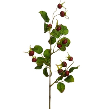 Rosehip - Berry Ruby Leafy 28in - FSB354-RE