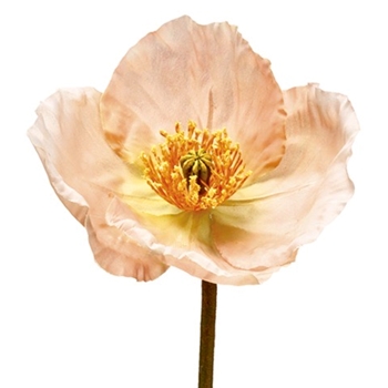 Poppy - Bloom Peach 23IN HSP464-PE