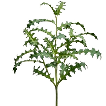 Dandelion Leaf - Green 21in