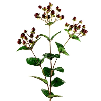 Berry - Hypericum Burgundy Green 29in - GTH203-BU/GR