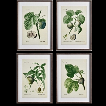 20W/28H Framed Print - Fruits Green