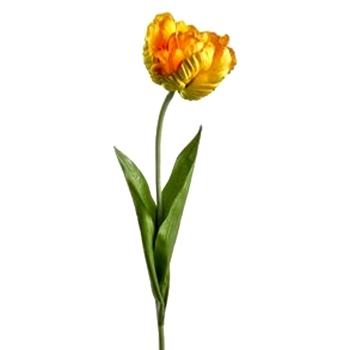 Tulip - Parrot Saffron 26in - FST255-YE/GR