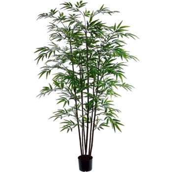 Bamboo Tree - Black 5ft - 7 Stalk - LTB455-GR