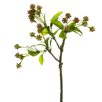 Berry - Pick Coral Green 14In - FSB949-CO/GR