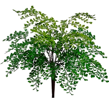Fern - Maiden Bush Forest Green 19in - PBF153-GR