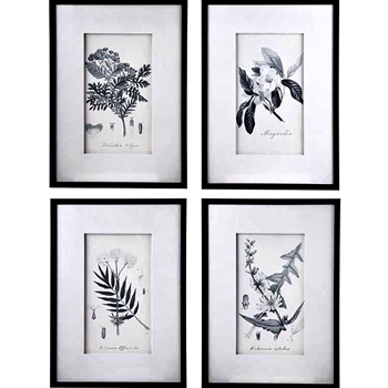 20W/28H Framed Print - Botanicals Grey & White
