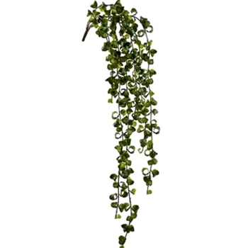 Curly Leaf - Vine Hanging 36in - PVL180-GR