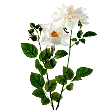 Rose - Cottage Wild Blush Antique White 35in - FSR845-WH