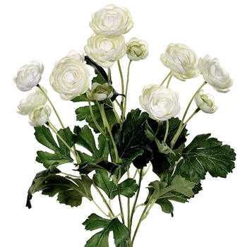 Ranunculus - Bouquet 12 Bloom Cream 13in - FBR995-CR