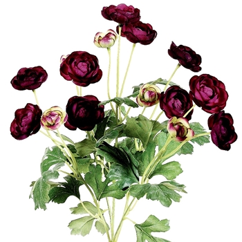 Ranunculus - Bouquet 12 Bloom Purple 13in - FBR995-VI